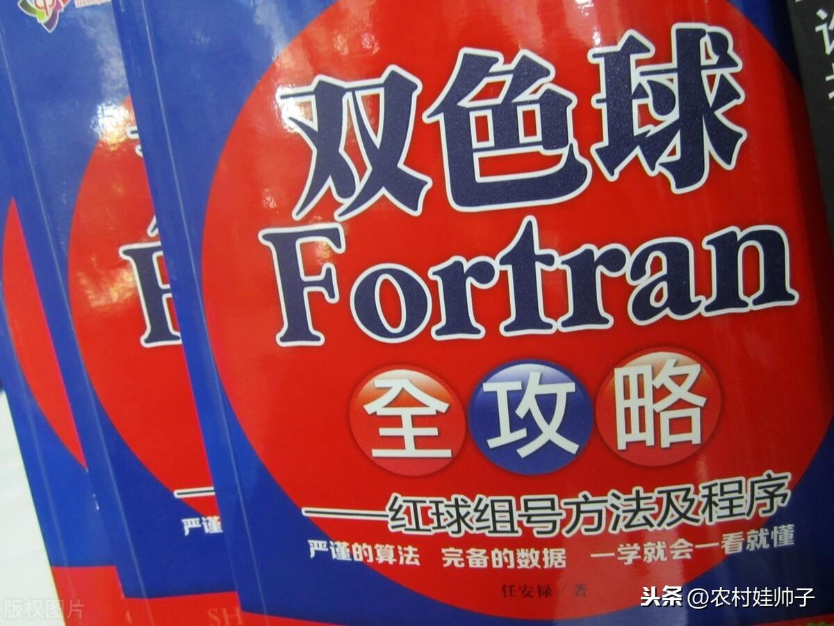 管家婆的资料一肖中特，揭秘背后的神秘与智慧管家婆1肖中特