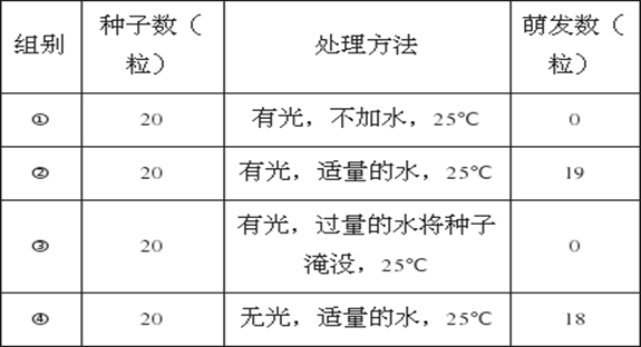 大乐透预测号码，探索随机性与策略性之间的微妙平衡