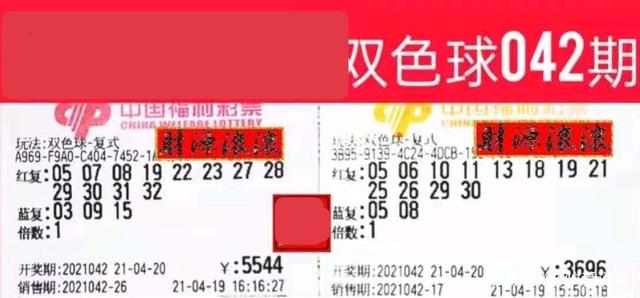探索爱彩网论坛，网络社区中的理性与激情交织爱彩网论坛 走势之后