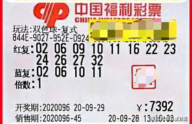 澳门生肖彩资料大全，揭秘幸运密码，掌握中奖秘诀2021澳门彩生肖表