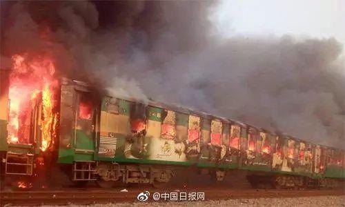 悲剧的加剧，加沙地带死亡人数升至1203人加沙地带死亡人数升至1203人的原因