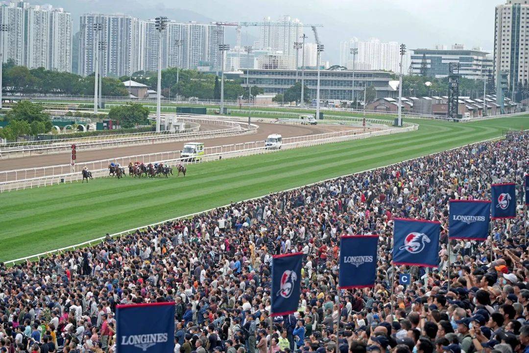探索香港马会资料，历史、运营与影响马会资料免费长期公开