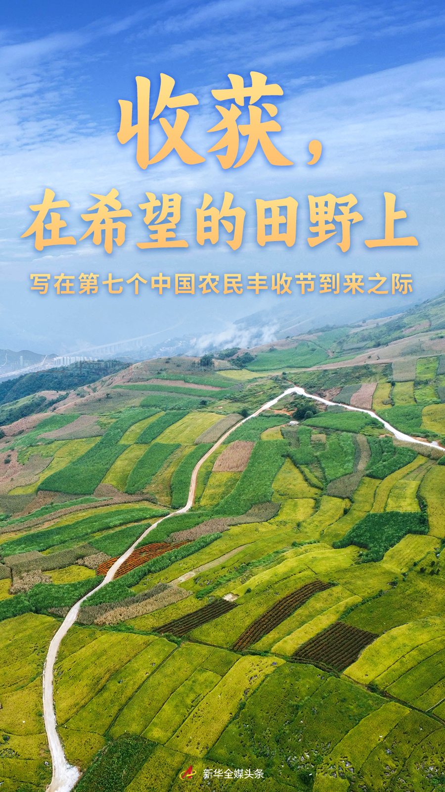 河北12530，打造乡村振兴的数字引擎河北12530官网