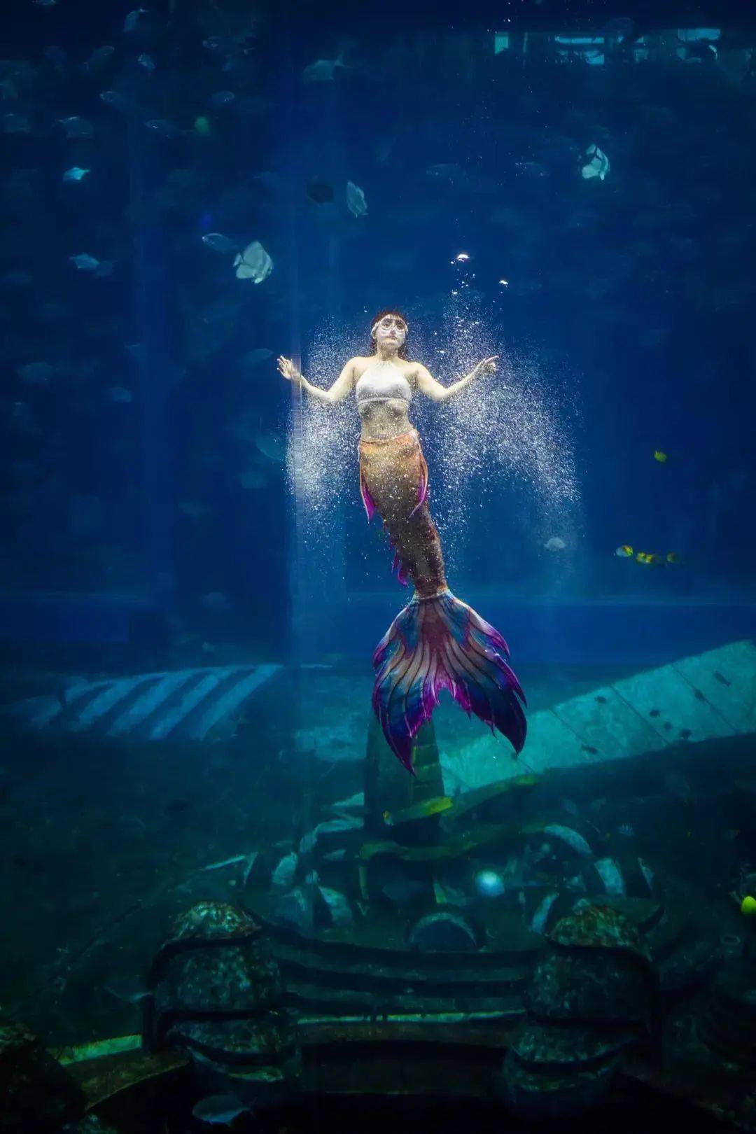 探索神秘海洋的绮丽篇章，138,095次回眸的美人鱼传说138383美人鱼论坛美人鱼13