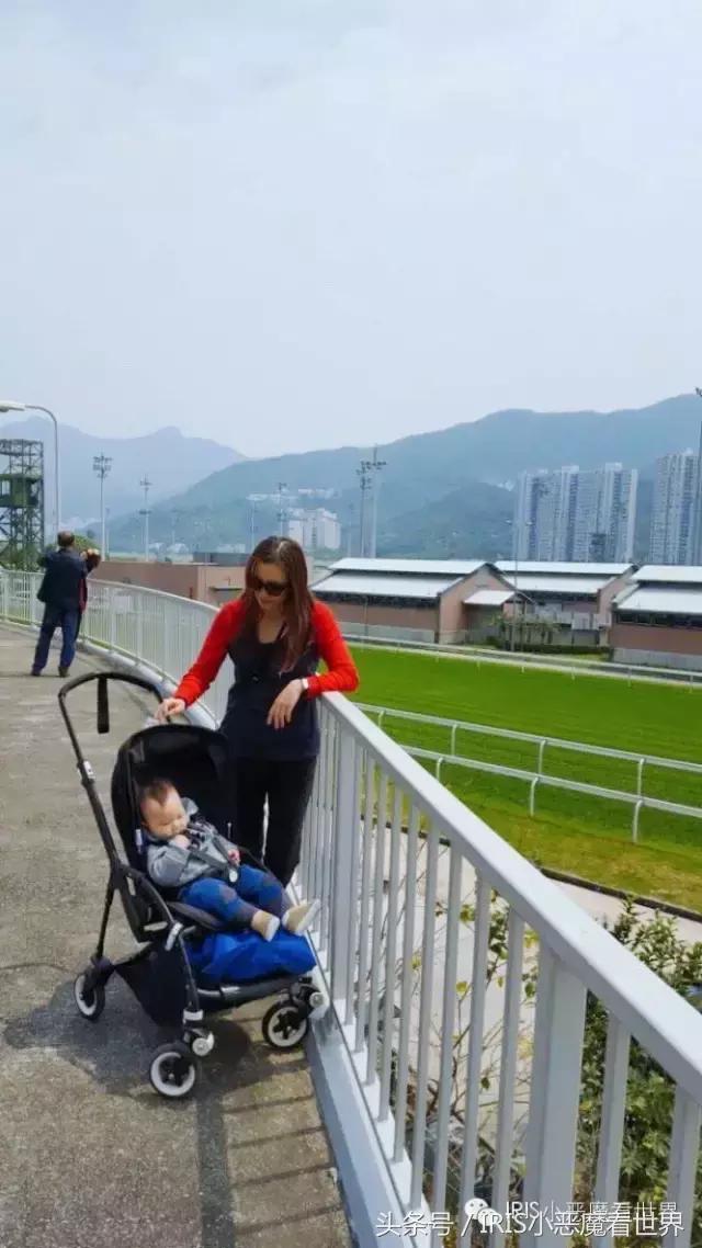 探索香港正版马会精选资料大全，揭秘赛果预测与投注智慧香港正版马会精选资料大全福利彩票双色球