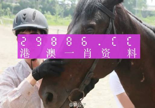 澳门一肖必中，揭秘背后的数字游戏与文化魅力澳门一肖一码一必开一肖技术分析解读