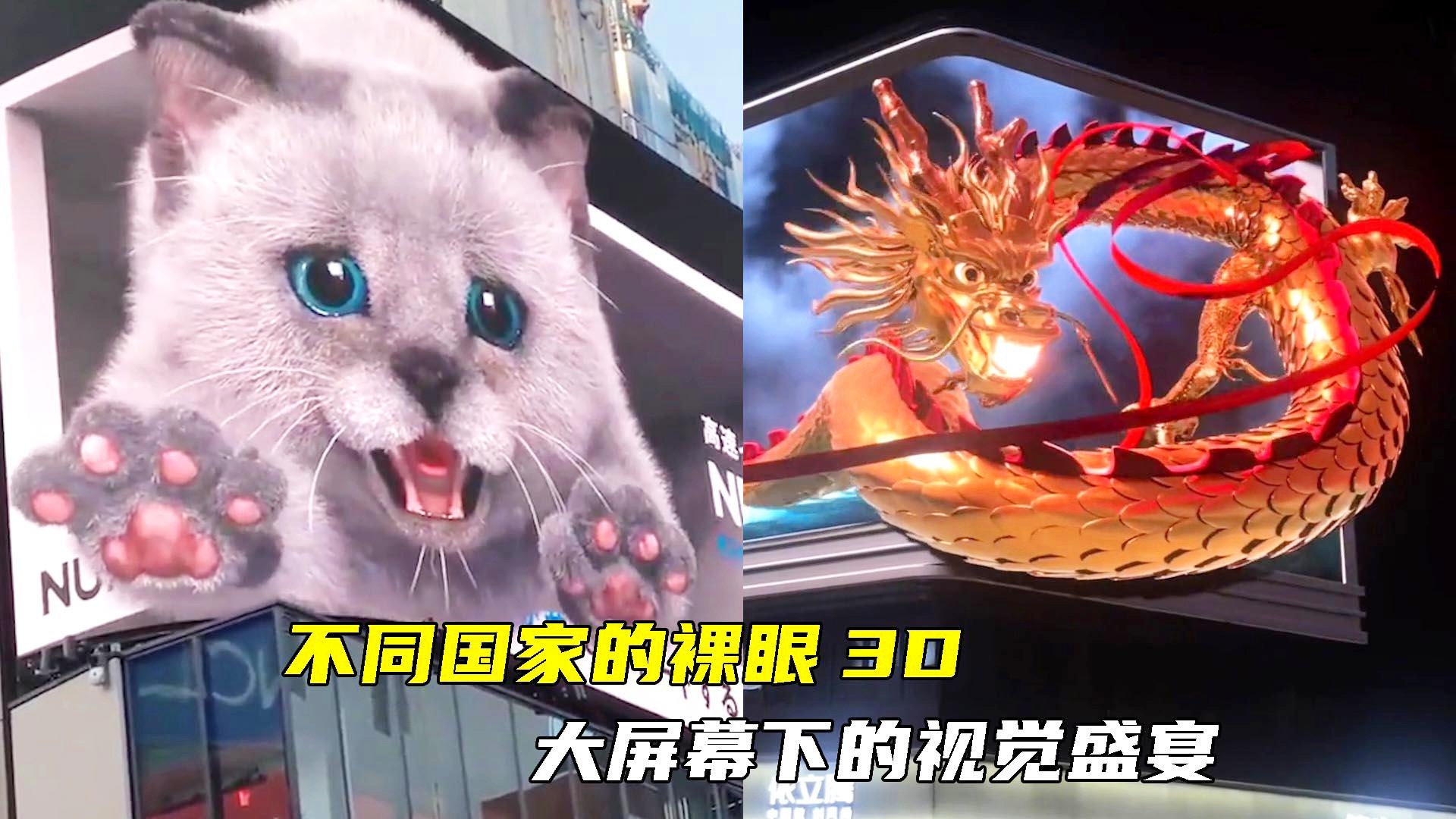 探索3D视觉盛宴，天牛图库的魅力与价值天牛3d图库大全