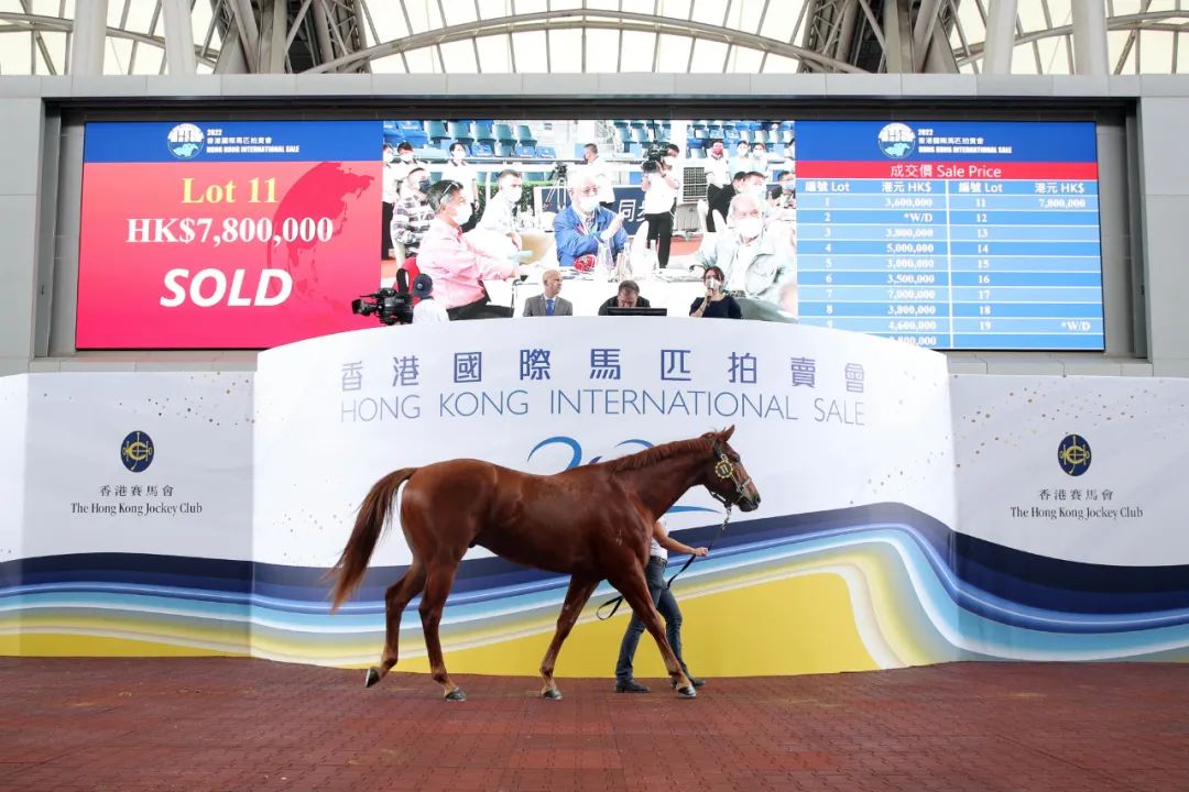 2019香港马会全年资料大全，赛事回顾与精彩瞬间香港2021年马会资料