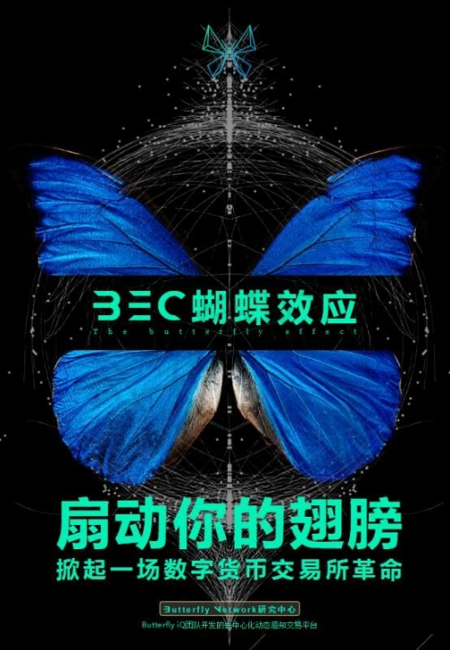 蝴蝶效应下的网络论坛，探索蝶变的无限可能蝴蝶论坛是什么