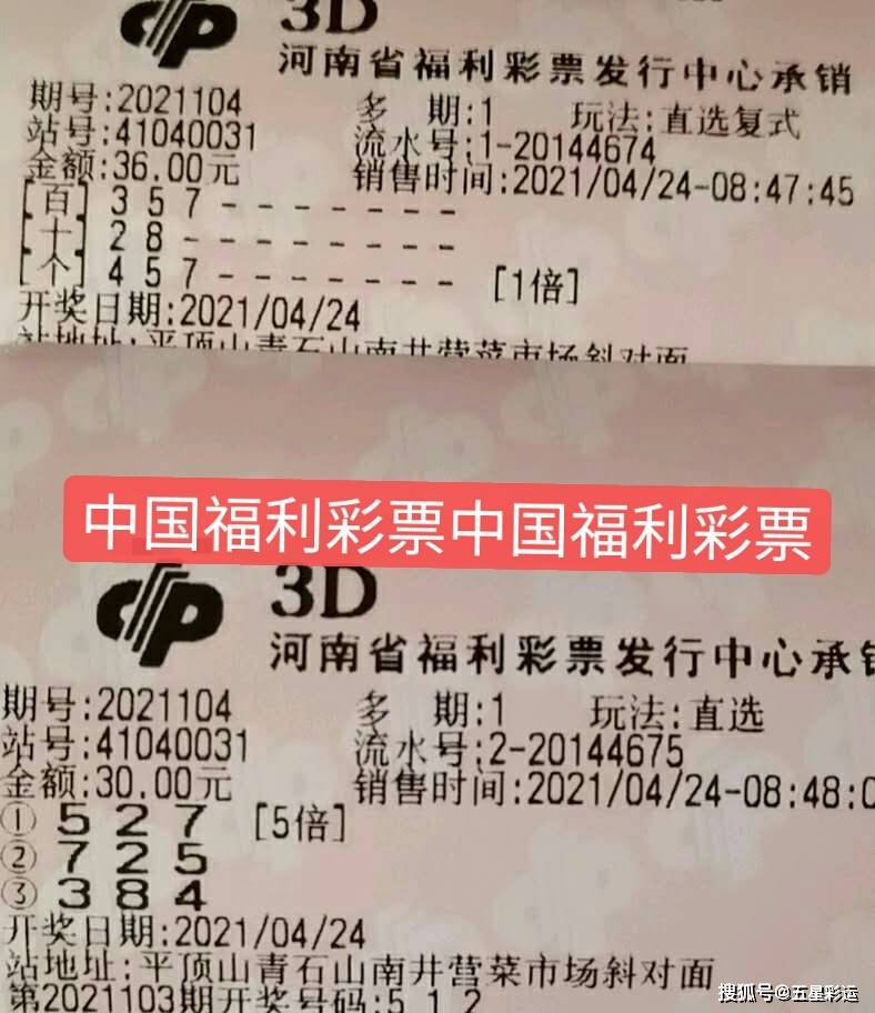 今期新澳门开奖结果记录，透视彩票文化与公众心理的微妙互动今期新澳门开奖结果记录表查询