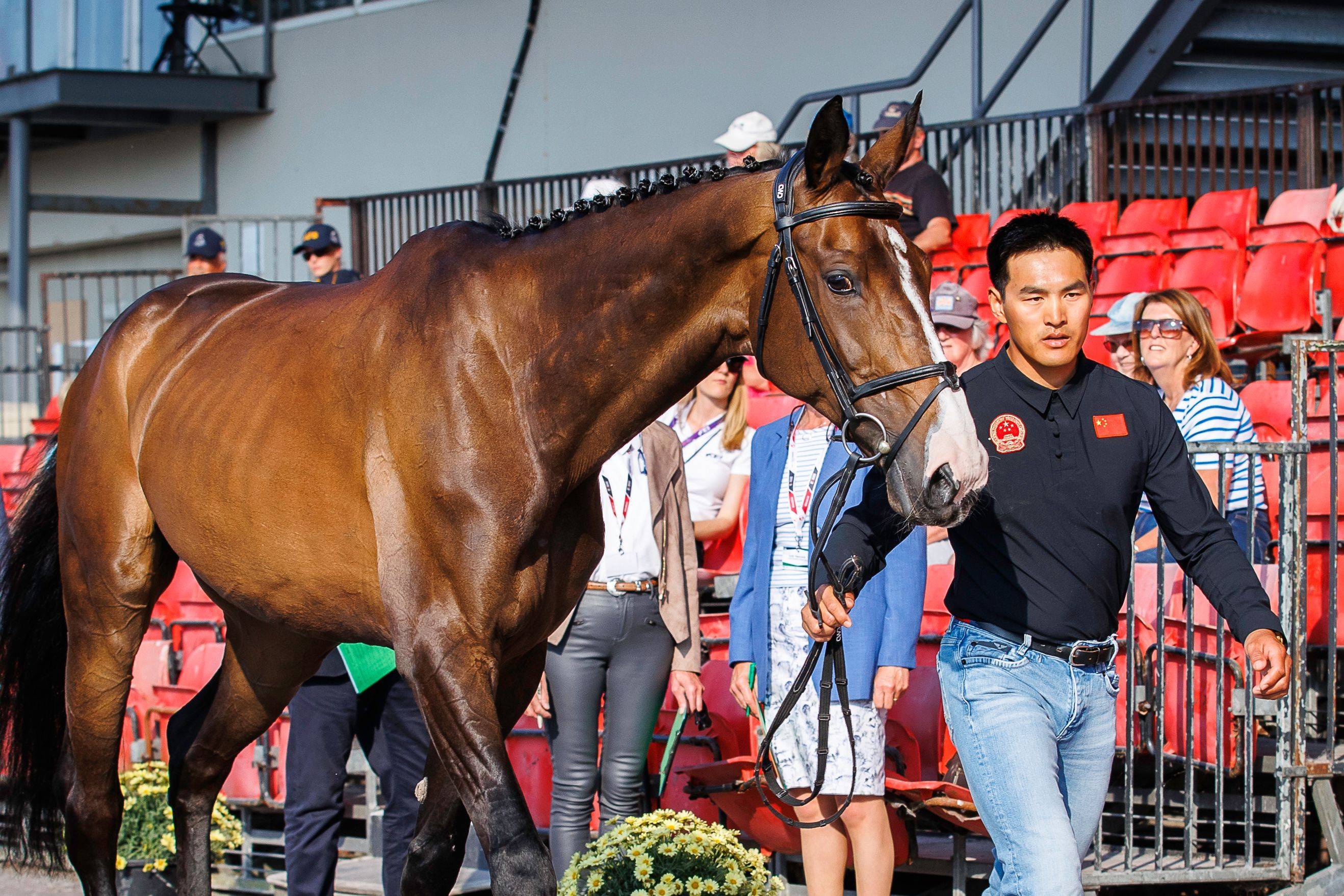 2018香港马会资料大全，赛场风云与投注指南香港2021年马会资料大全