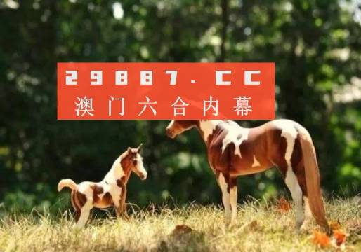 澳门跑狗3769，揭秘背后的数字与文化澳门跑狗376ww