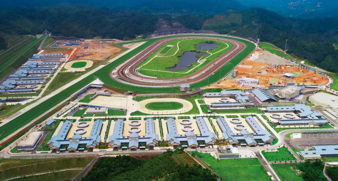 2019年香港马会赛果回顾，精彩纷呈的年度开奖记录2019香港码开奖历史记录