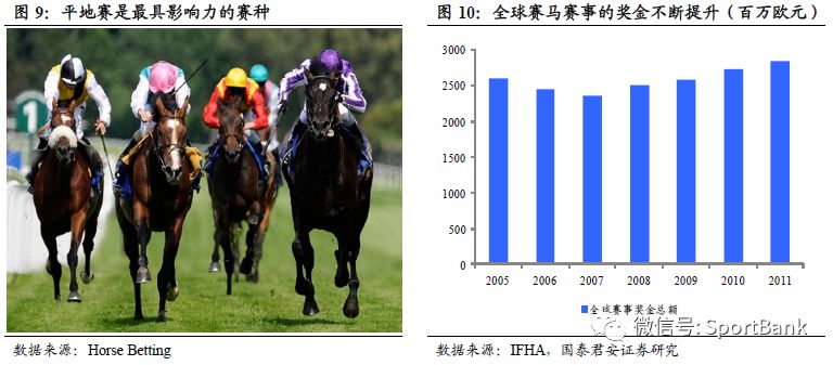 2019年香港马全年资料回顾，赛场风云与精彩瞬间2020年香港马资料最准的