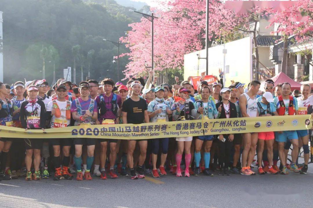 2019香港马会全年资料大全，赛场风云与慈善并进的一年香港2020马会资料