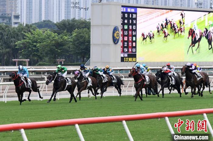 探索香港赛马会免费资料网的无限可能香港赛马会资料