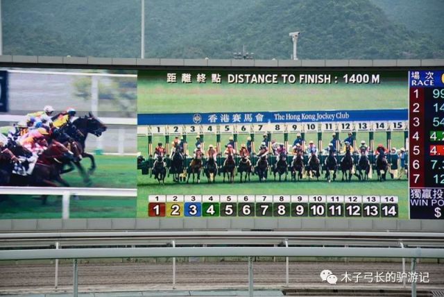 探索香港马会网站，一站式赛马的精彩世界香港免费公开资料大全