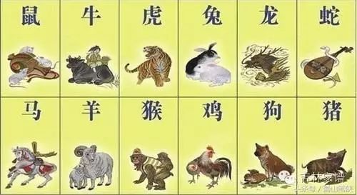 2019年特马生肖图，传统文化的现代演绎与幸运的象征2019年特马生肖图22期