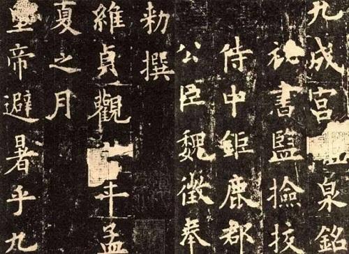 探索新澳马，今天最快最新图库的魅力与价值新澳马今天最快最新图库223期四不像图片
