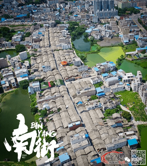 探索新奥历史，揭秘最新开奖结果背后的故事新奥历史开奖最新结果查询今天