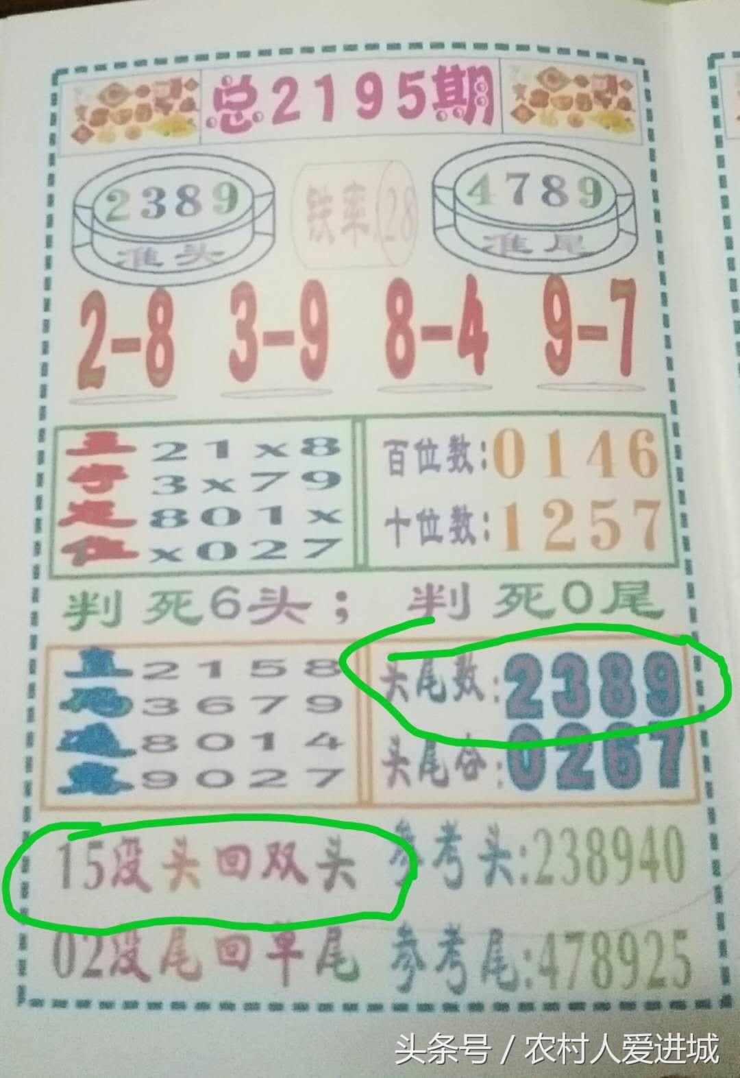 澳门精准资料，期期的精确预测与理性解读新澳门精准正最精准