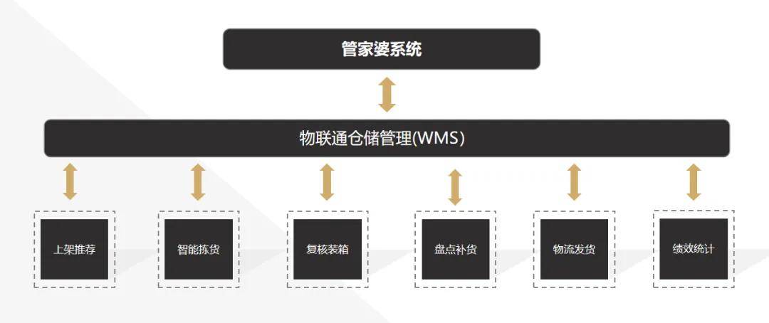 探索管家婆20-4资料图片大全，深度解析与实用指南2020年管家婆彩图大全