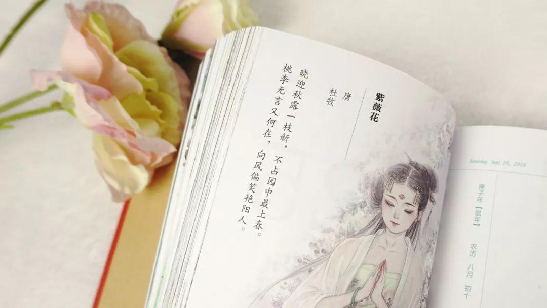 365每一天，免费论坛的无限可能365每一天app