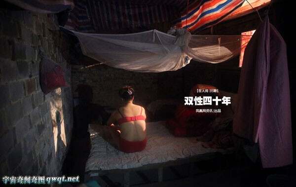 探索双性人生，殒命之器的图片与文化反思双性人生殅器图片欣赏