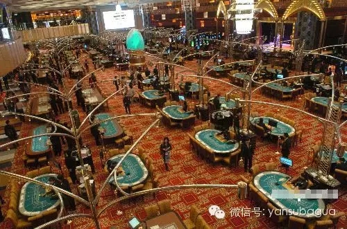 澳门六开资料大全，揭秘新时代的赌场游戏与策略新澳门六开资料大全2024