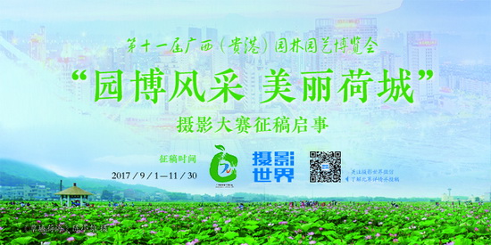 广西风彩，壮乡韵律，多彩画卷广西风彩开奖结果号码