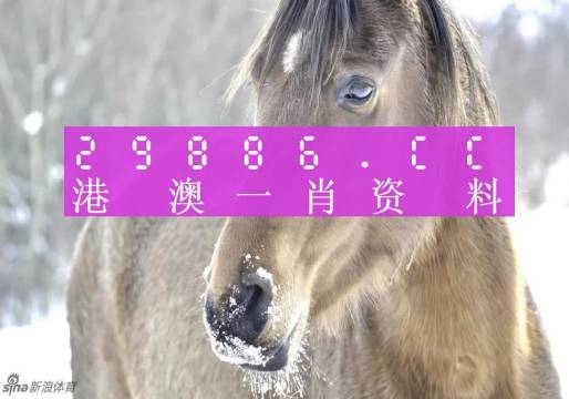 澳门一肖（生肖）预测，精准与安全的平衡澳门一肖一码100准确安牛马配