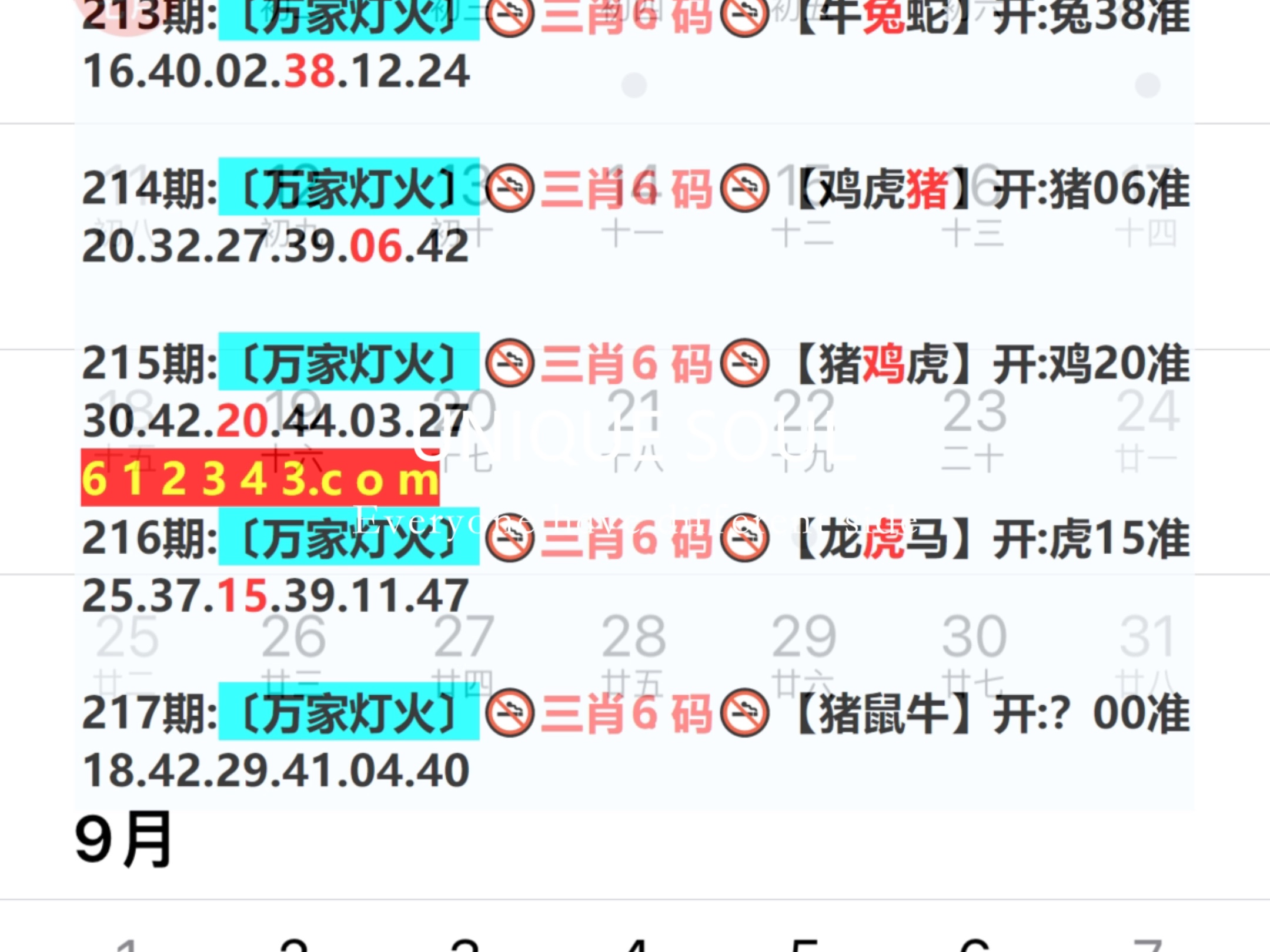 蓝月亮四肖八码精选资料，揭秘精准预测的背后与理性投注的重要性蓝月亮四肖八码精选资料的2024年