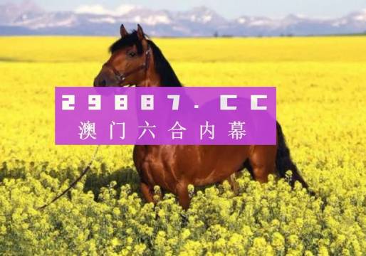 澳门资料正版大全，探索与保障的双重之旅最精准的正版资料澳门