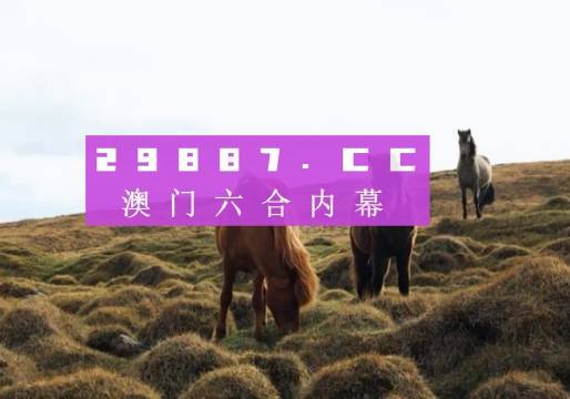 探索2034澳门历史开奖的奥秘，一场跨越时光的数据之旅2023澳门历史开奖查询结果