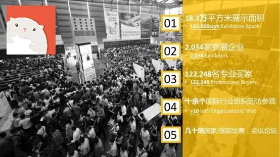 澳门2045年免费资料大全，探索未来与机遇的指南澳门2024免费资料大全集