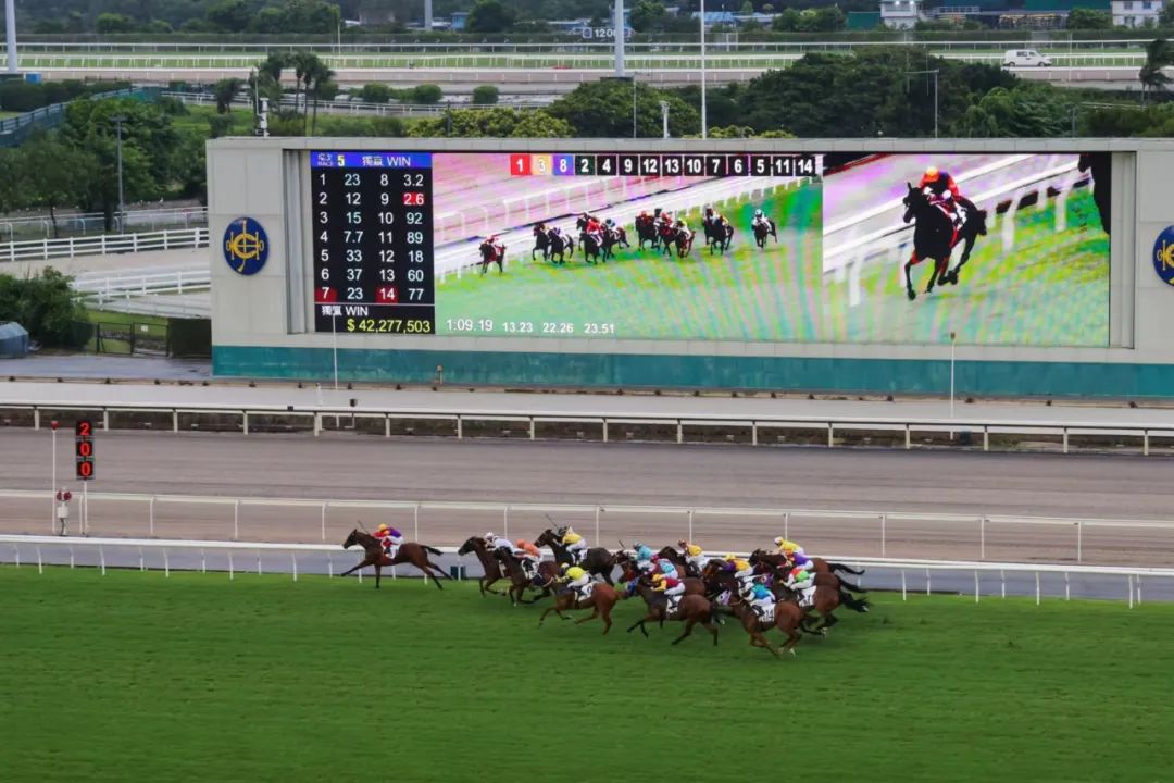 香港马会2019资料大全，全面解析与深度解读香港2021年马会资料大全