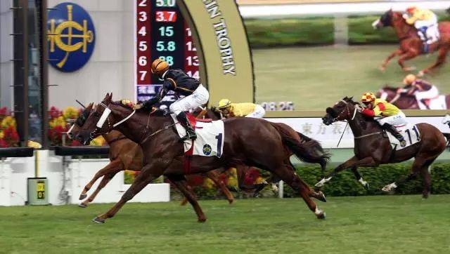 2019年香港马会资料大全，全面解析与深度解读香港2021年马会资料大全